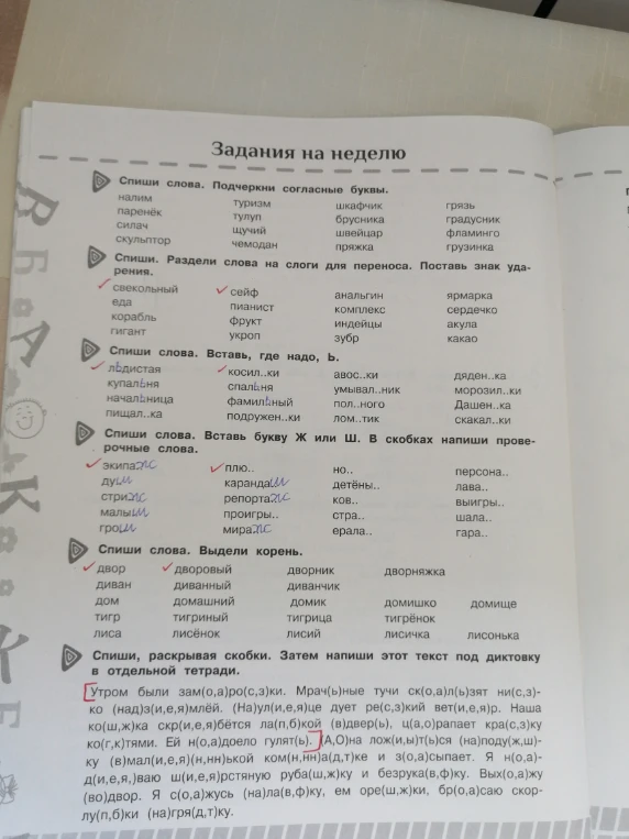 Спиши слова. Подчеркни согласные буквы.