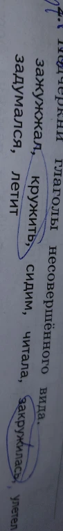 Подчеркни глаголы несовершенного вида.
