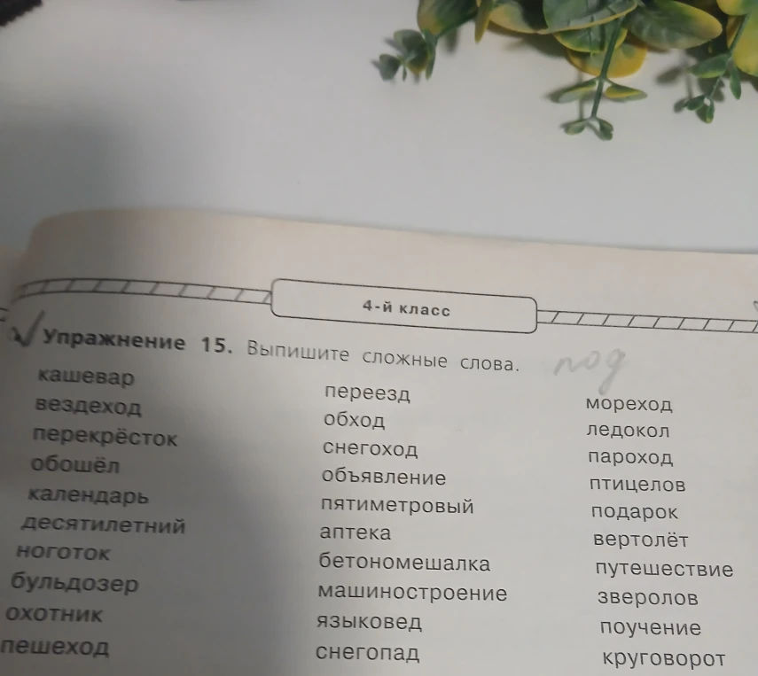 Упражнение 15. Выпишите сложные слова.