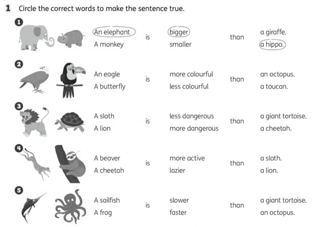 Circle the correct words to make the sentence true.