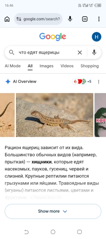 Чем питается это ящерица