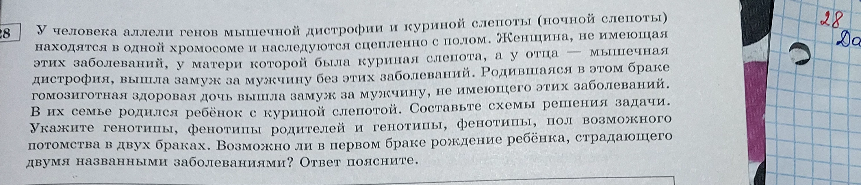 У человека аллели генов мышечной дистрофии и куриной слепоты (ночной слепоты) находятся в одной хромосоме и наследуются сцепленно с полом.