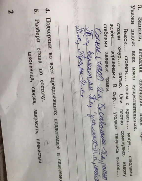 Запиши, вставляя окончания имён существительных.