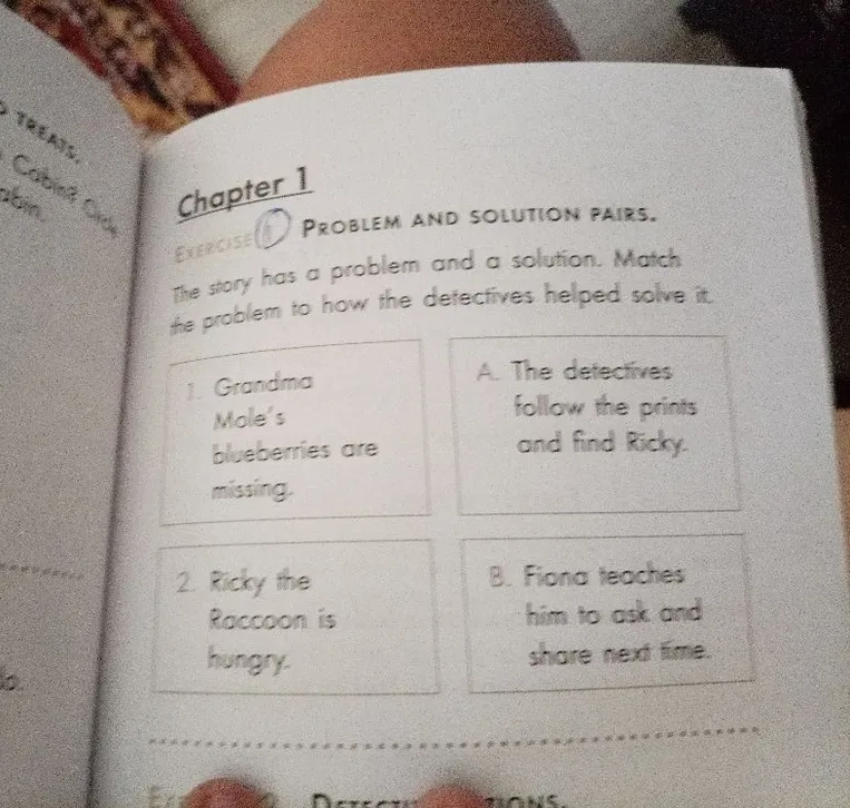 Exercise 6: Problem and Solution Pairs. The story has a problem and a solution. Match the problem to how the detectives helped solve it.