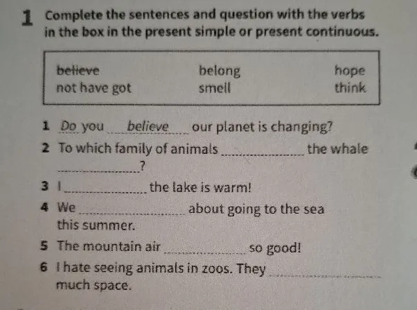 Complete the sentences and question with the verbs in the box in the present simple or present continuous.