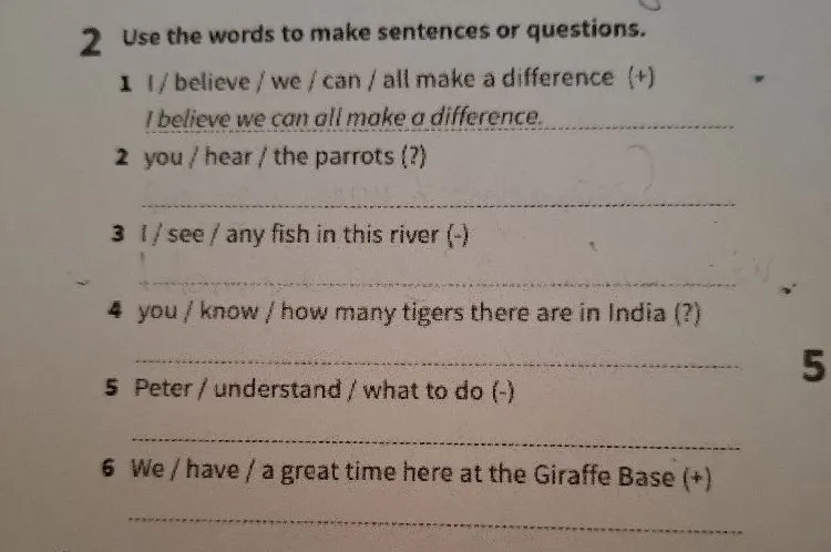 Use the words to make sentences or questions.