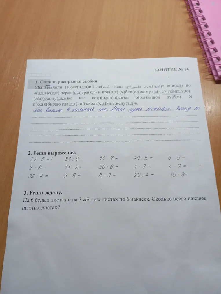 Спиши, раскрывая скобки.