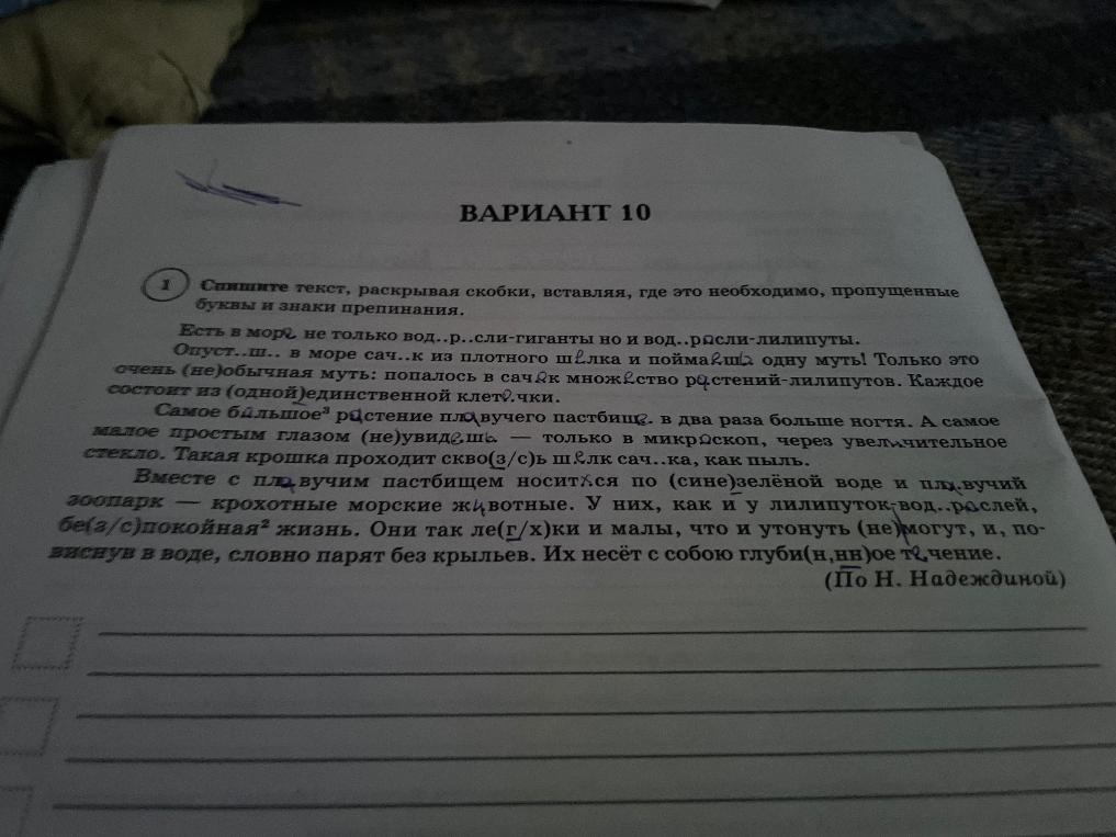 Спишите текст, раскрывая скобки, вставляя, где это необходимо, пропущенные буквы и знаки препинания.