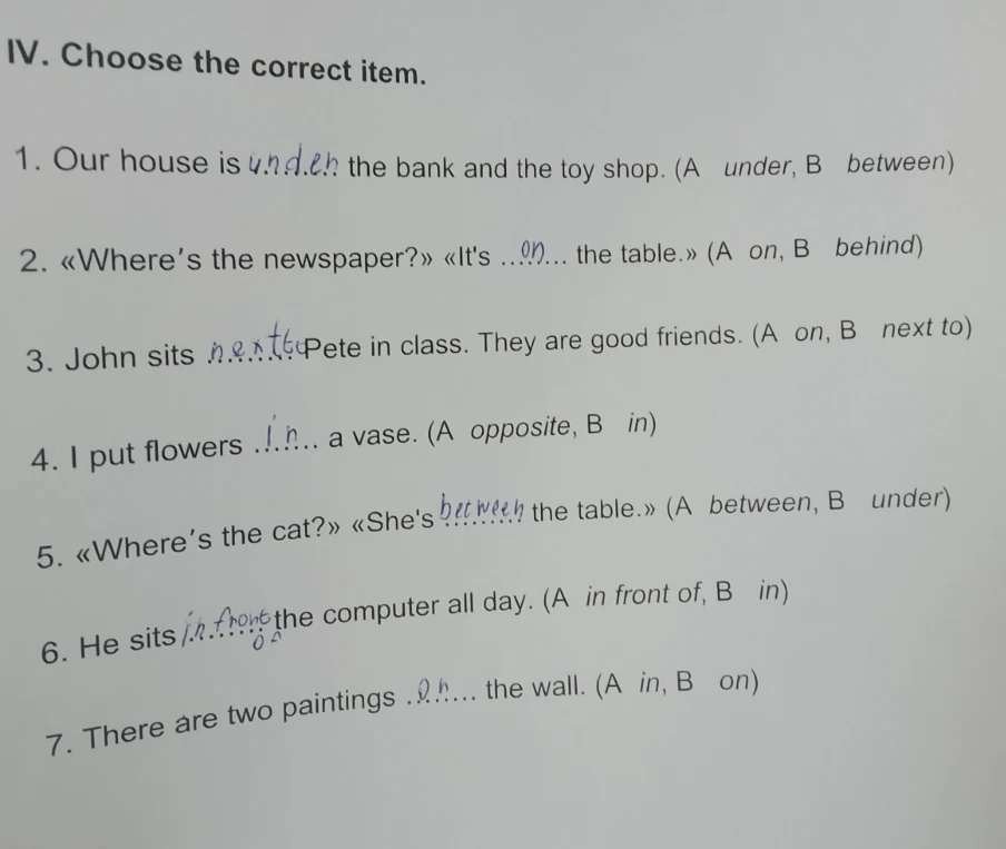 IV. Choose the correct item.