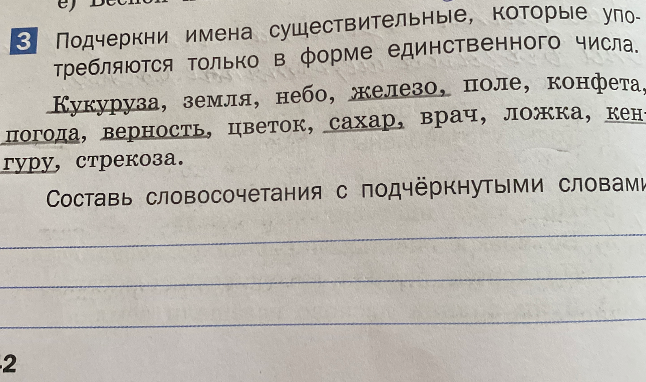 Подчеркни имена существительные, которые употребляются только в форме единственного числа.