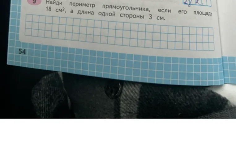 Найди периметр прямоугольника, если его площадь 18 см², а длина одной стороны 3 см.