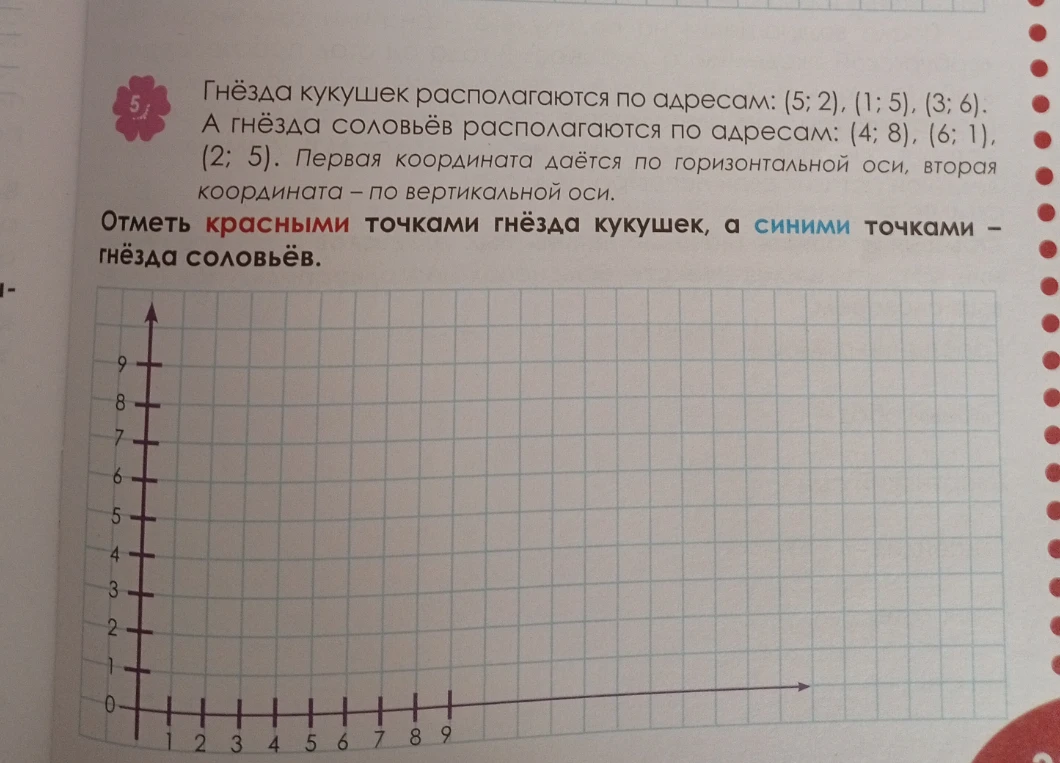 Гнёзда кукушек располагаются по адресам: (5; 2), (1; 5), (3; 6). А гнёзда соловьёв располагаются по адресам: (4; 8), (6; 1), (2; 5).
