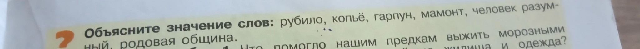 Объясните значение слов: рубило, копье, гарпун, мамонт, человек разумный, родовая община.