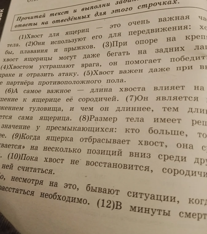 Прочитай текст и выполни задания, ответы на отведённых для этого строчках.