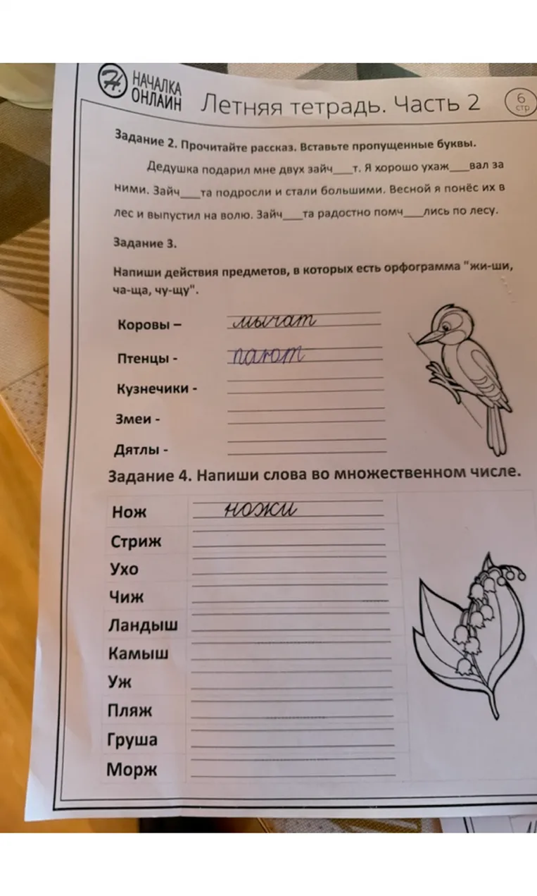 Задание 2. Прочитайте рассказ. Вставьте пропущенные буквы. Задание 3. Напиши действия предметов, в которых есть орфограмма «жи-ши, ча-ща, чу-щу». Задание 4. Напиши слова во множественном числе.