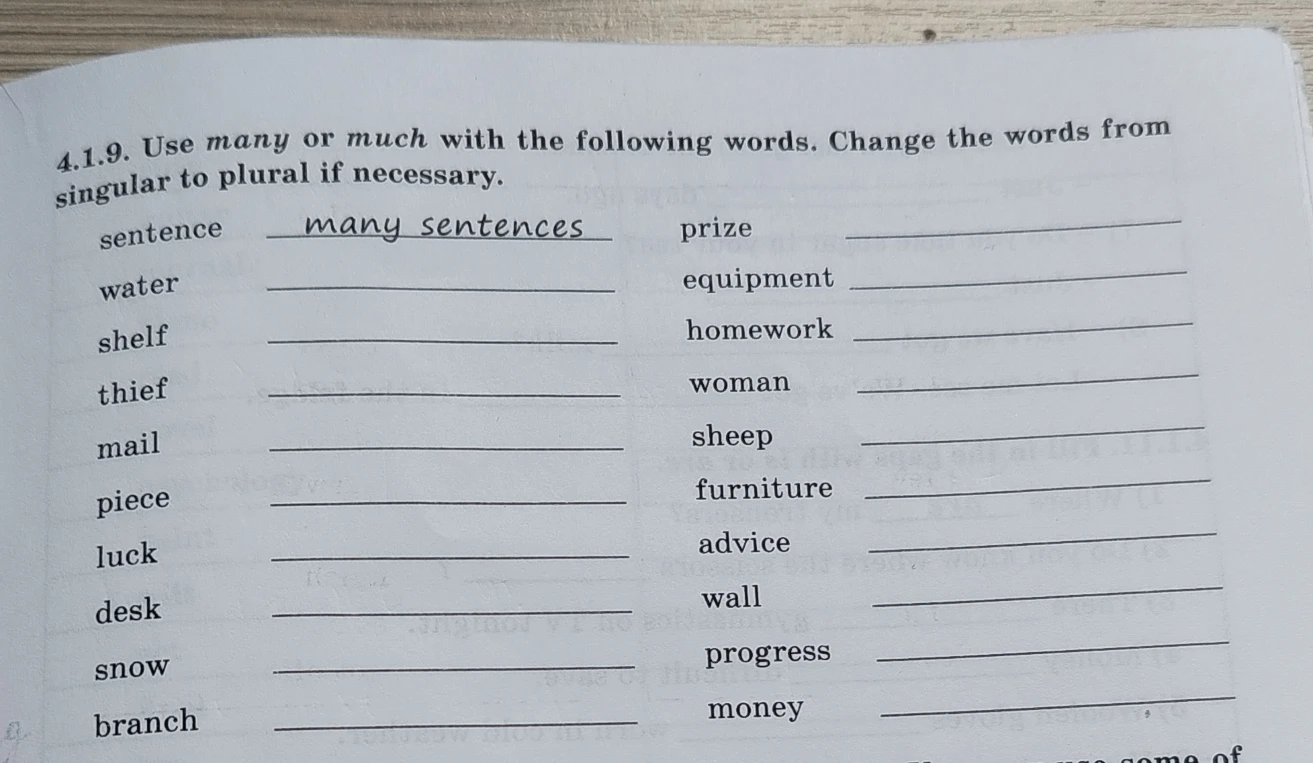 4.1.9. Use many or much with the following words. Change the words from singular to plural if necessary.