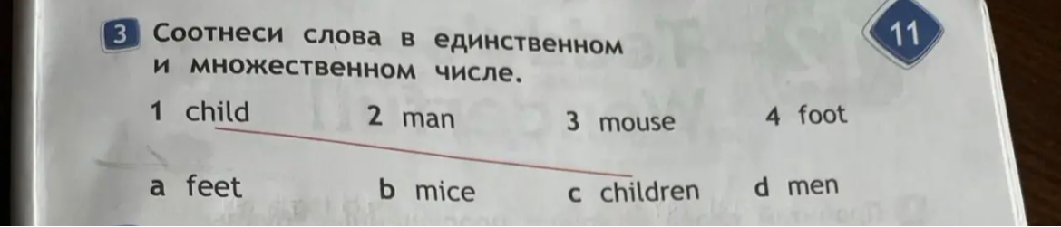 Соотнеси слова в единственном и множественном числе.