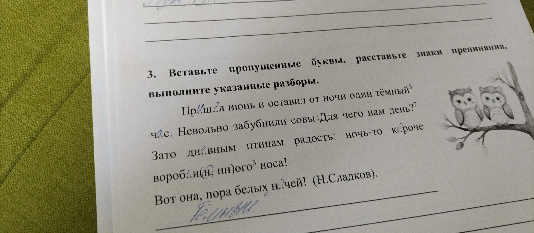 3. Вставьте пропущенные буквы, расставьте знаки препинания, выполните указанные разборы.