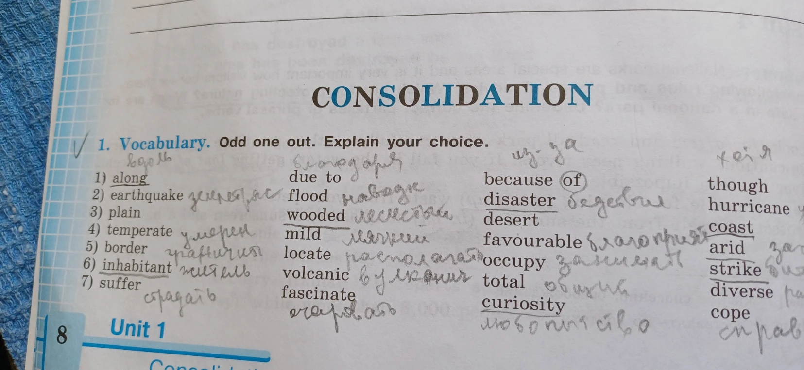 1. Vocabulary. Odd one out. Explain your choice.