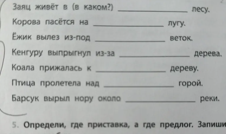 Заяц живёт в (в каком?) лесу.