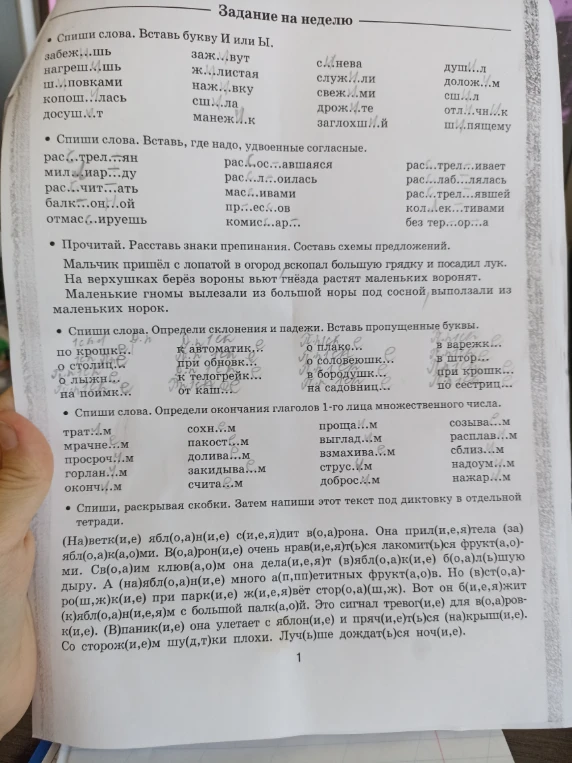 Спиши слова. Вставь букву И или Ы.