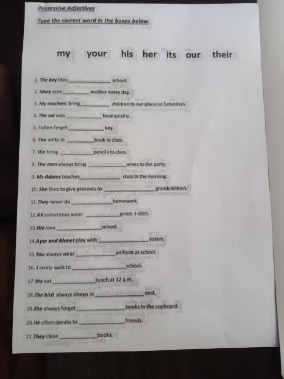 Possessive Adjectives. Type the correct word in the boxes below.