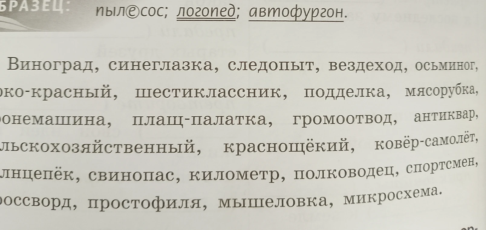 Виноград, синеглазка, следопыт, вездеход, осьминог, око-красный, шестиклассник, подделка, мясорубка, онемашина, плащ-палатка, громоотвод, антиквар, лькохозяйственный, краснощёкий, ковёр-самолёт, лнцепёк, свинопас, километр, полководец, спортсмен, россворд, простофиля, мышеловка, микросхема.