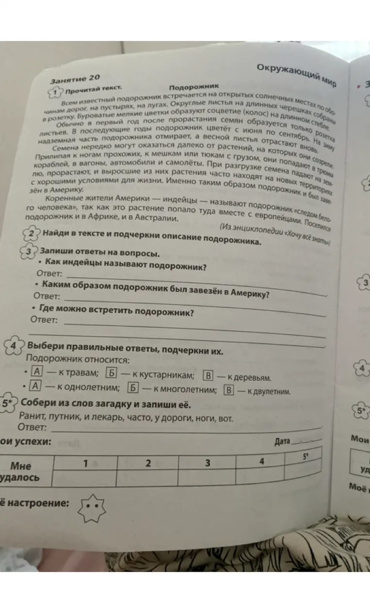 Задание 3. Запиши ответы на вопросы.