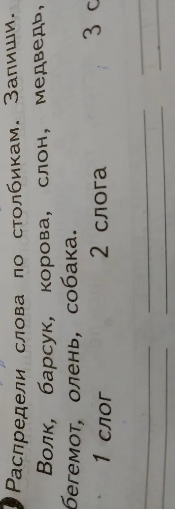 Распредели слова по столбикам. Запиши.