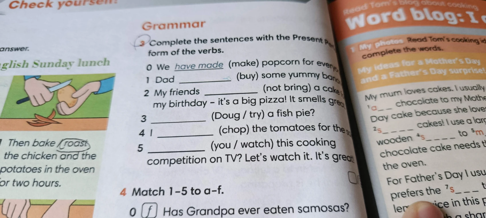 Complete the sentences with the Present Perfect form of the verbs.