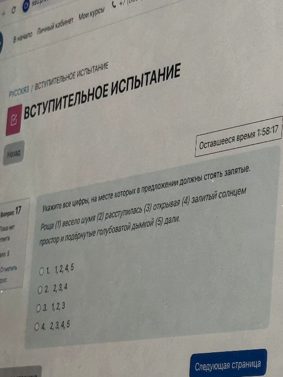 Укажите все цифры, на месте которых в предложении должны стоять запятые. Роща (1) весело шумя (2) расступилась (3) открывая (4) залитый солнцем простор и подёрнутые голубоватой дымкой (5) дали.