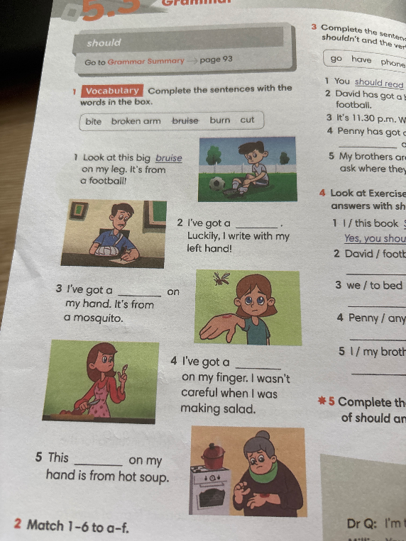 Vocabulary Complete the sentences with the words in the box.