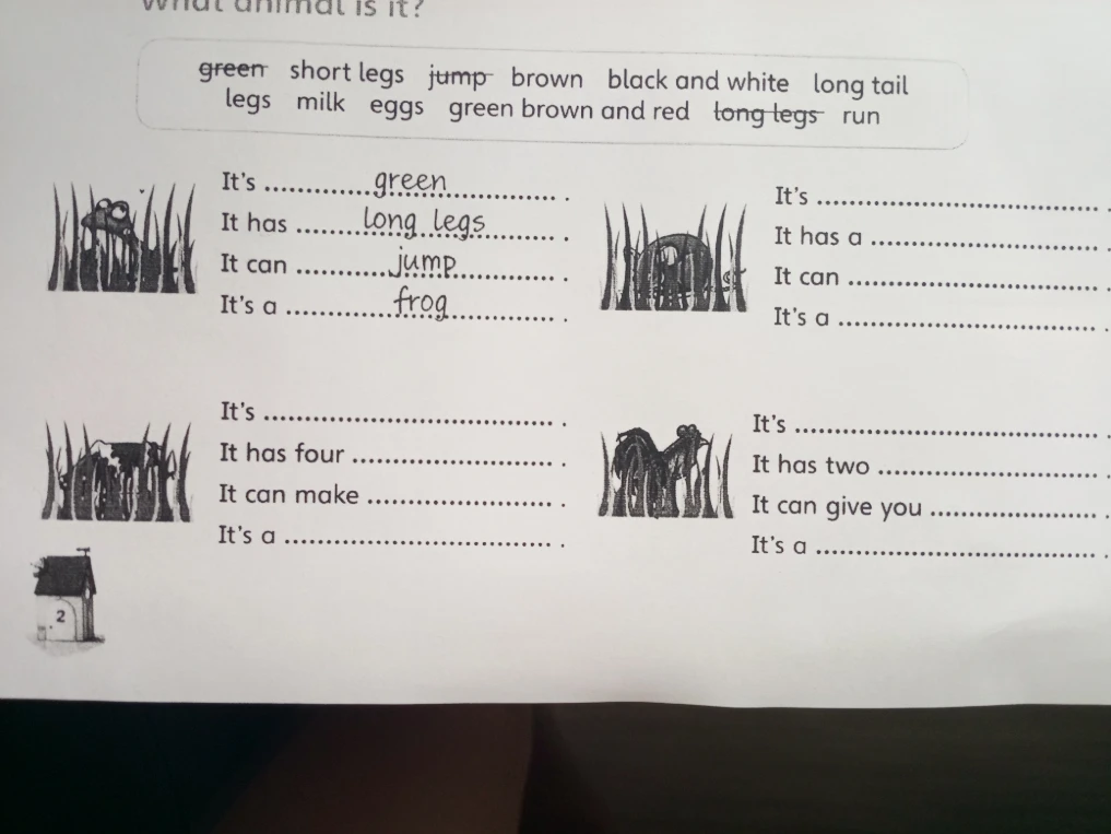 What animal is it?