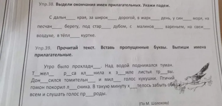 Упр.38. Выдели окончания имен прилагательных. Укажи падеж.
