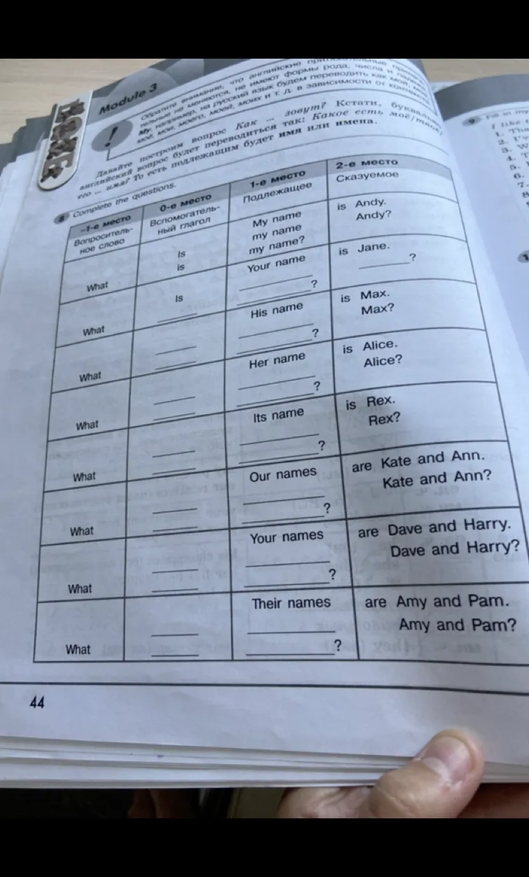 Complete the questions.