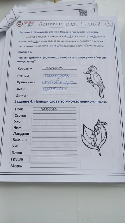 Напиши действия предметов, в которых есть орфограмма "жи-ши, ча-ща, чу-щу". Напиши слова во множественном числе.