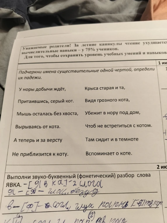 Подчеркни имена существительные одной чертой, определи их падежи. Выполни звуко-буквенный (фонетический) разбор слова ЯВКА.