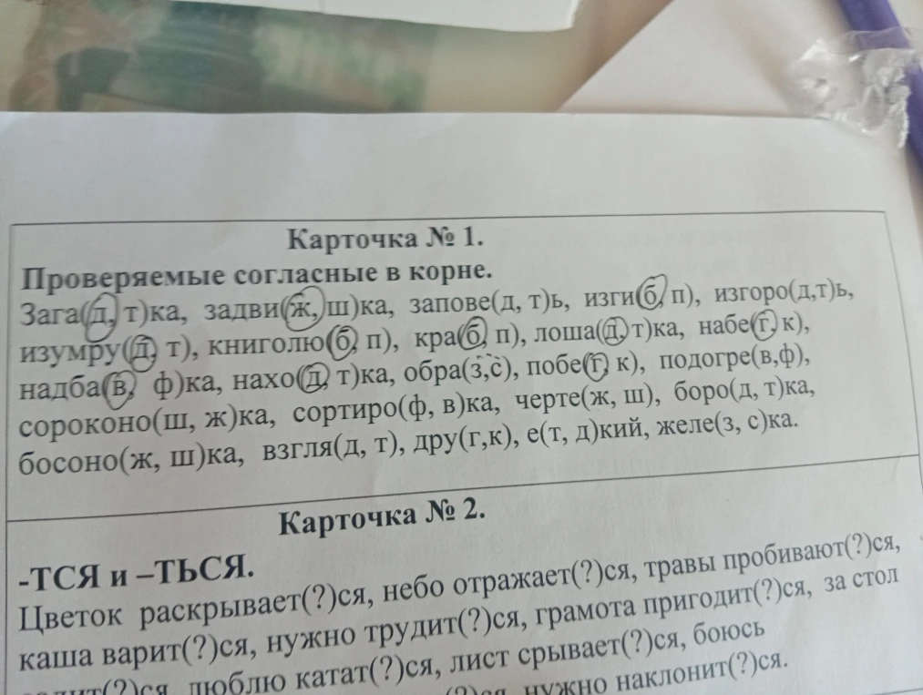 Карточка № 1. Проверяемые согласные в корне.