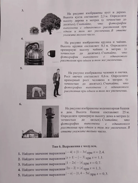 На рисунке изображены куст и дерево. Высота куста составляет 2,3 м. Определите высоту дерева в метрах (с точностью до десятых).