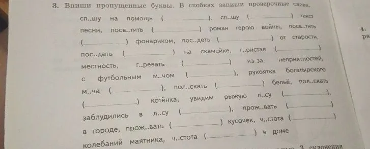 3. Впиши пропущенные буквы. В скобках запиши проверочные слова.