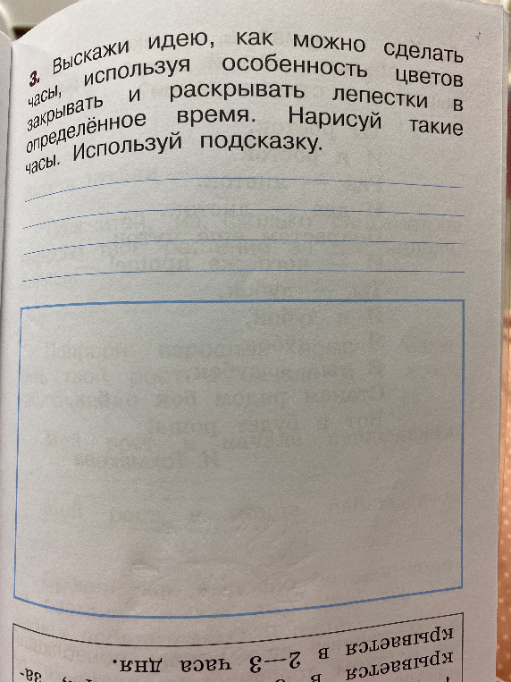 3. Выскажи идею, как можно сделать часы, используя особенность цветов раскрывать и закрывать лепестки в определённое время. Нарисуй такие часы. Используй подсказку.