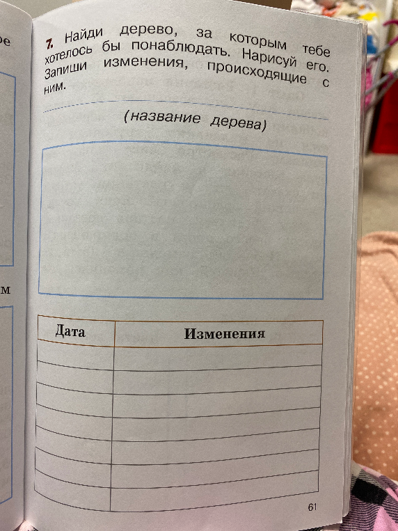 7. Найди дерево, за которым тебе хотелось бы понаблюдать. Нарисуй его. Запиши изменения, происходящие с ним.