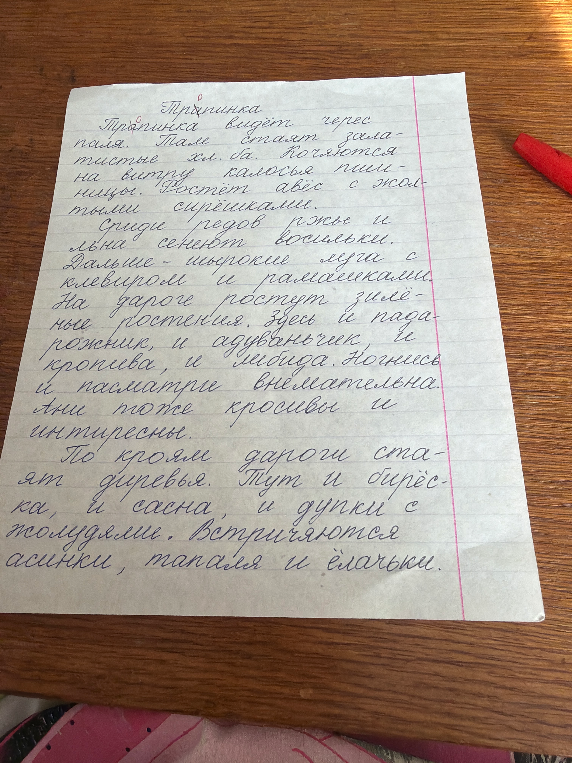 Исправь ошибки