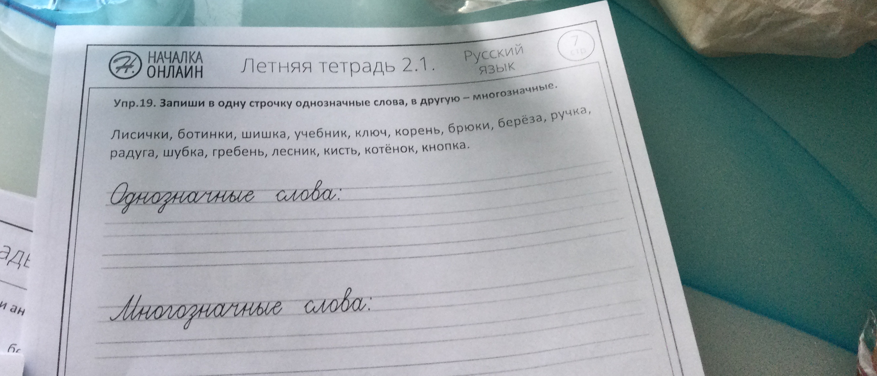 Упр.19. Запиши в одну строчку однозначные слова, в другую — многозначные.