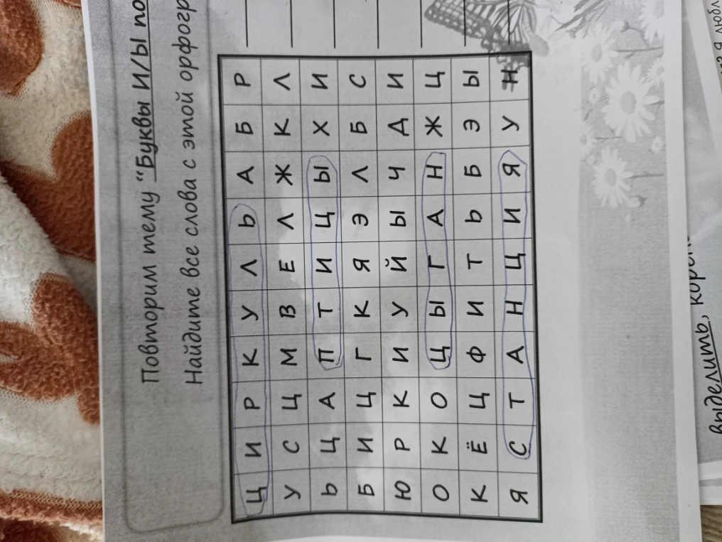 Повторим тему «Буквы И/Ы после Ц». Найдите все слова с этой орфограммой.
