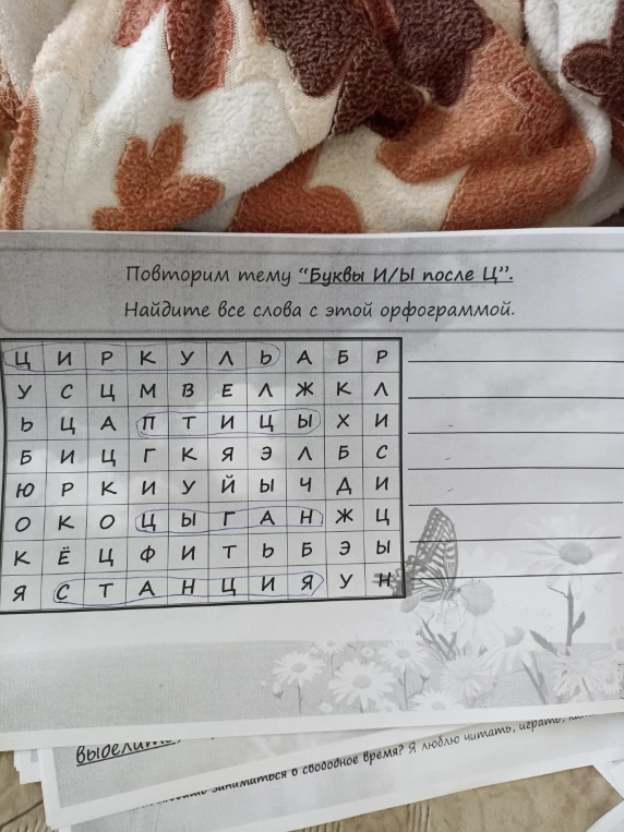 Повторим тему "Буквы И/Ы после Ц". Найдите все слова с этой орфограммой.