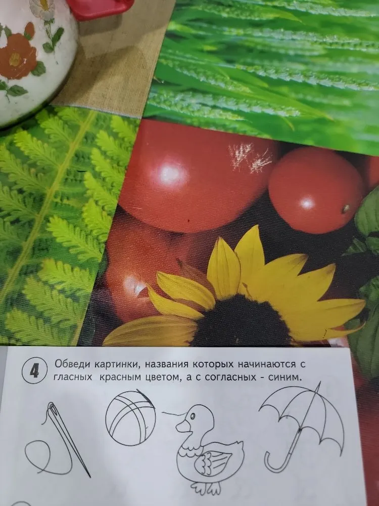Обведи картинки, названия которых начинаются с гласных красным цветом, а с согласных - синим.