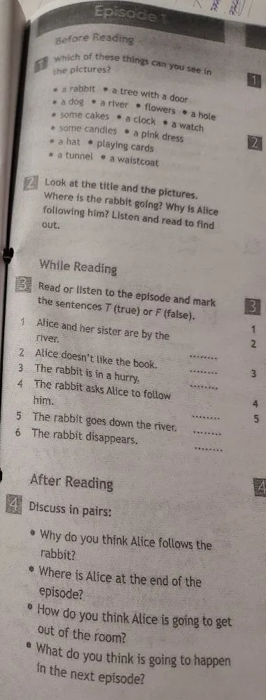 Which of these things can you see in the pictures?