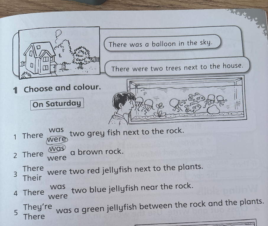 1 Choose and colour. On Saturday 1 There was/were two grey fish next to the rock.