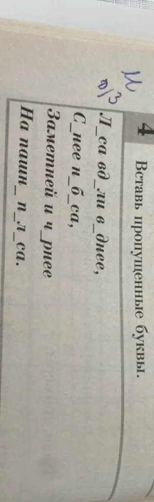 Вставь пропущенные буквы.